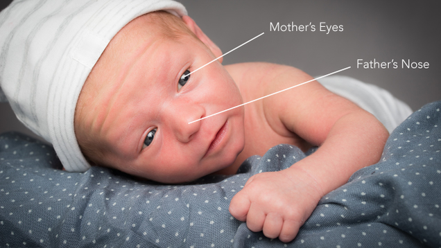 Illustration for article titled EXCLUSIVE: First Look At The New Baby